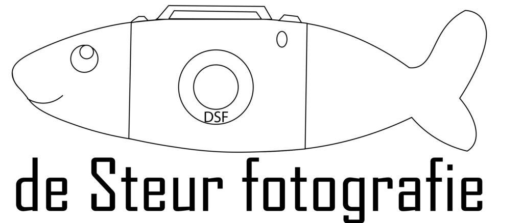 1e opzet