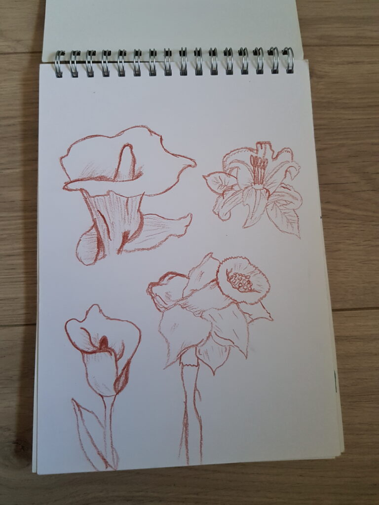 Bloemen getekend met kleurpotloden