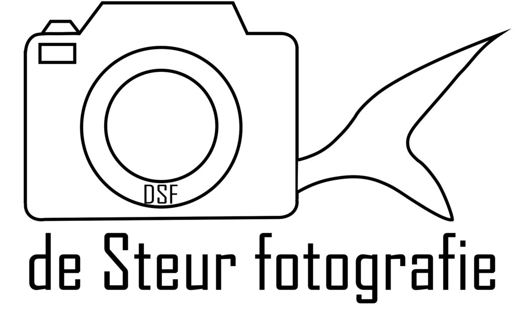 3e opzet