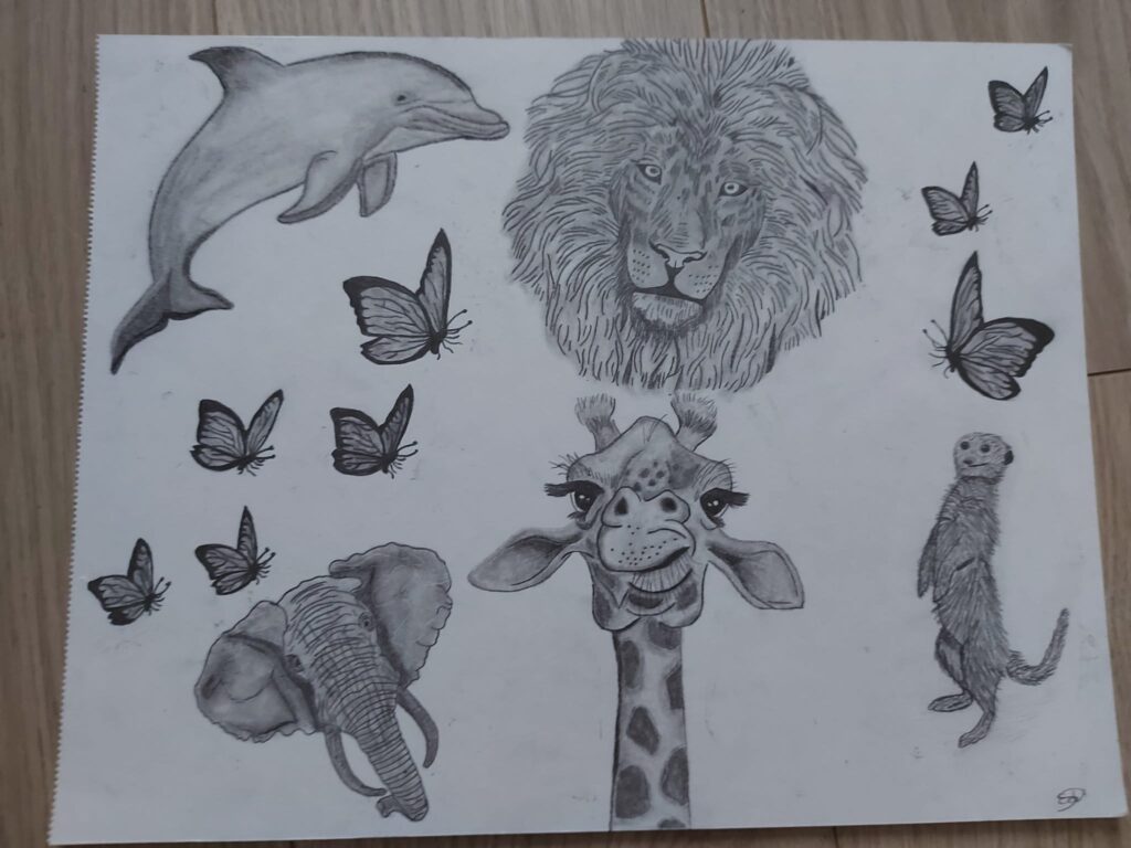 Verzameling van dieren getekend met grafietpotloden