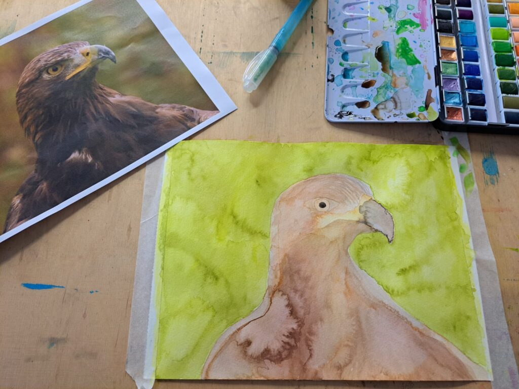 Arend getekend met aquarelverf